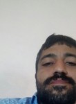 kamran, 41 год, Zaqatala