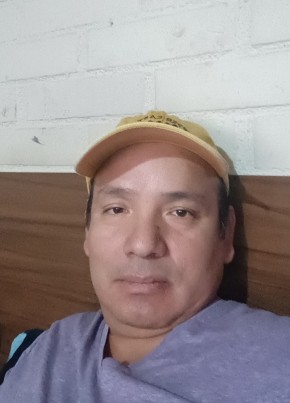 Willy, 45, República de Chile, Santiago de Chile
