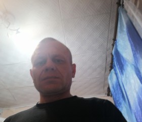 Алекс Смоляков, 44 года, Нижнеудинск