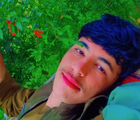 ذبیح الله, 20, Maymana