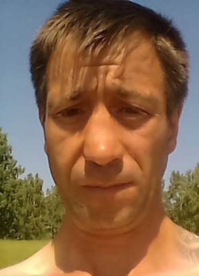 Александр, 43, Россия, Шумиха