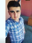 Mustafa, 26 лет, Bartın