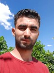 Hamza, 31 год, Chorfa