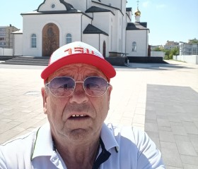 Сергей, 67 лет, Новосибирск