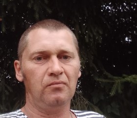 Vit Alex, 43 года, Берасьце