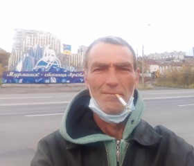 Владимир, 54 года, Мурманск