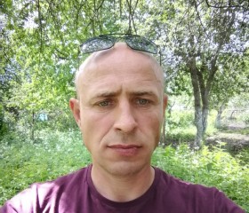Масяня, 43 года, Калининград