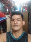 James barrios, 41 год, Mandaue City