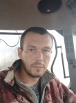 Николай Салтыков, 36 лет, Вологда