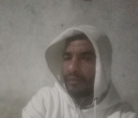 غاوي, 46, Alexandria
