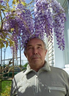 Николай, 71, Россия, Пятигорск