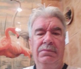 Василий, 69 лет, Ликино-Дулево