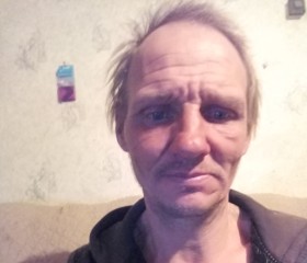 Алексей Поморов, 53 года, Волгоград