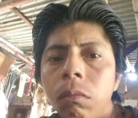 Rogelio albrto m, 25, Seybaplaya