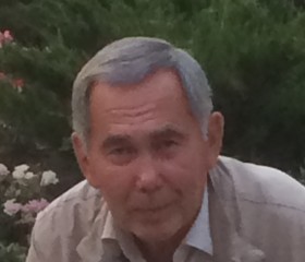 Рашид, 70 лет, Алматы