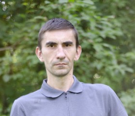 Анатолий, 40 лет, Александров