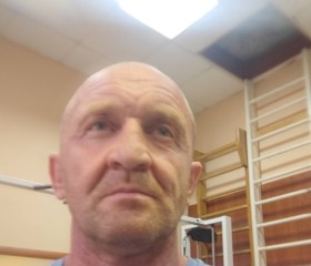 Владимир, 46 лет, Псков