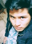 Luis, 30 лет, Ciudad del Cuzco