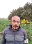 صاصا, 62  , Shibin al Kawm