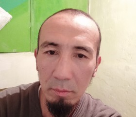 Замир, 44 года, Бишкек