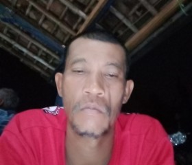 Cari teman wanit, 55 лет, Djakarta