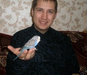 Алексей, 35 лет, Світловодськ