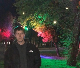 Тимур, 22 года, Челябинск