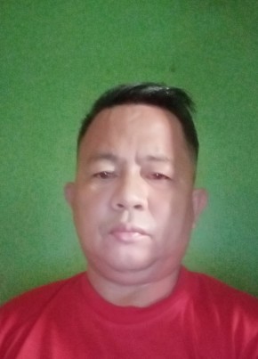 Jimmy, 52, Pilipinas, Carmona