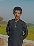 Sarkar, 20 лет, اسلام آباد