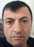 Erol Memis, 46 лет, Domaniç
