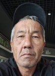 Рафка, 53 года, Зайсан