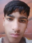 Arman, 23 года, New Delhi