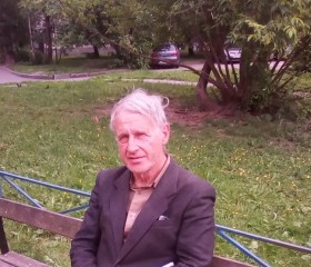 Анатолий, 70 лет, Санкт-Петербург