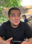 Alik, 32  , Bishkek