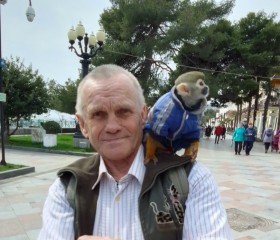 Владимир, 67 лет, Ялта