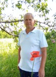 Александр, 65 лет, Белгород