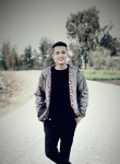 Ahmed, 24 года, طنطا