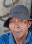 Iskandar, 45 лет, Kota Palangka Raya