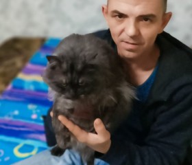 Sergey, 42, Volzhskiy (Volgograd)