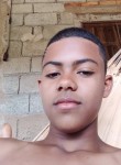 Ariel, 19 лет, Viçosa (Minas Gerais)
