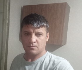 Хамдам Курбанов, 44 года, Жуковский