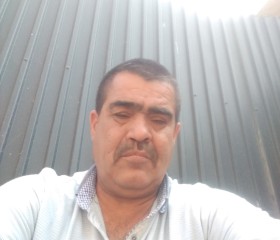 Alisher, 52, Khujand