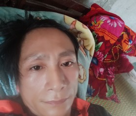 Định Văn loi, 42 года, Thành Phố Hạ Long