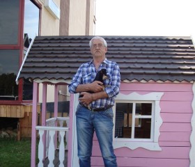 николай, 72 года, Челябинск