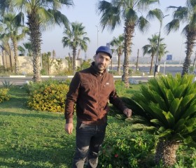 الب ب, 36 лет, القاهرة