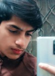 Ali hamza, 19 лет, بہاولپور