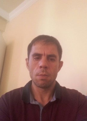 Ahmet, 41, Türkiye Cumhuriyeti, Bahçe