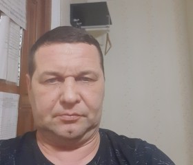 Андрей, 45 лет, Балтаси