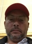 Aleksey, 53, Saint Petersburg