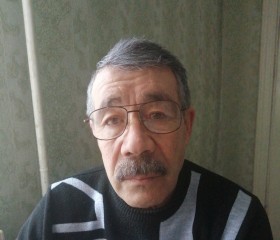 Коля, 63 года, Красноярск